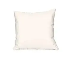 22" x 22" Outdoor Pillow