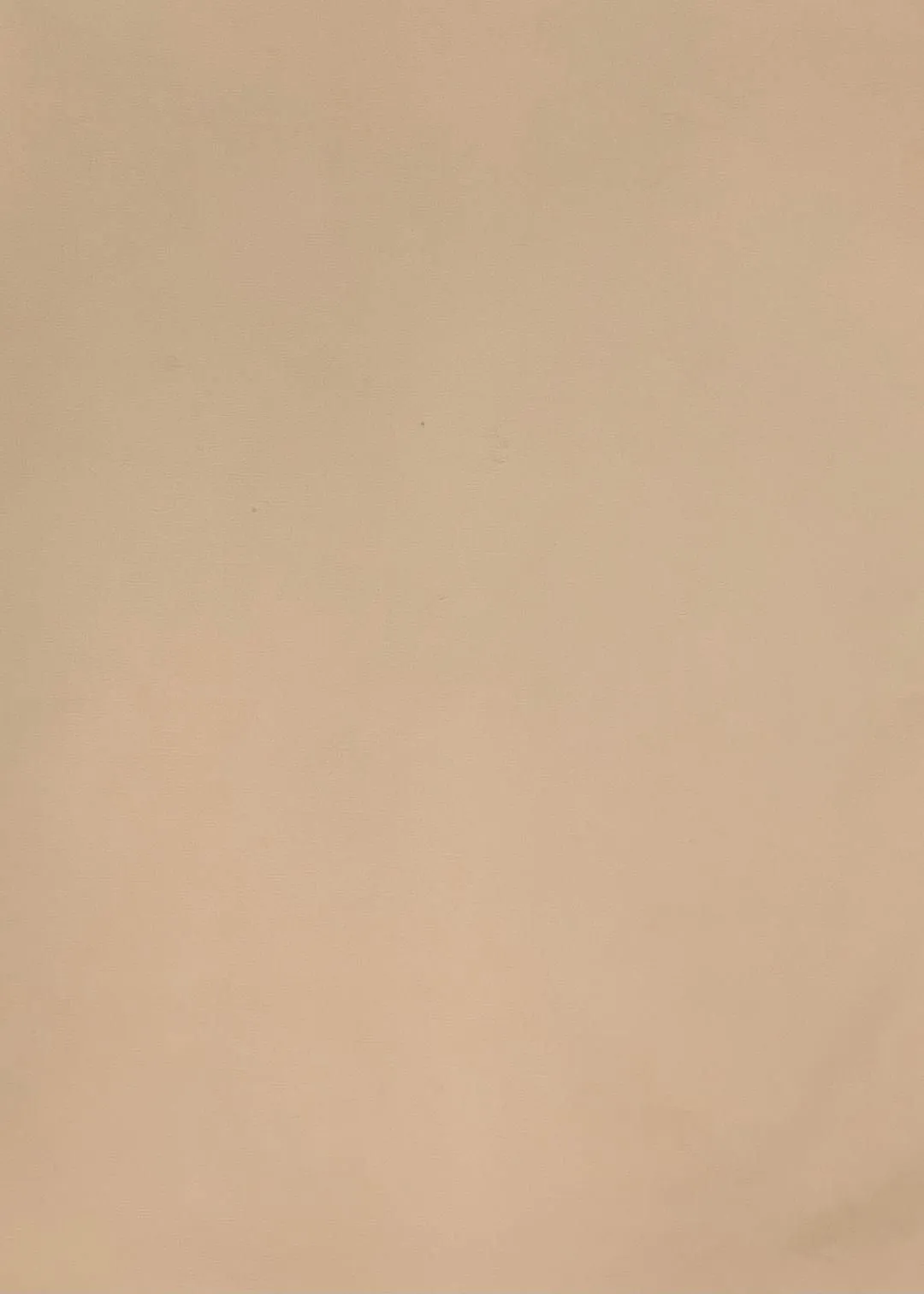 COTTON POPLIN STRETCHED WOVEN - SHIRTING FABRIC<br><h6>11K-BEIGE<br>051-CPOPLINX</h6>