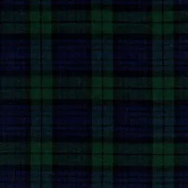 Flannel Swatch - GMF4 - Blackwatch